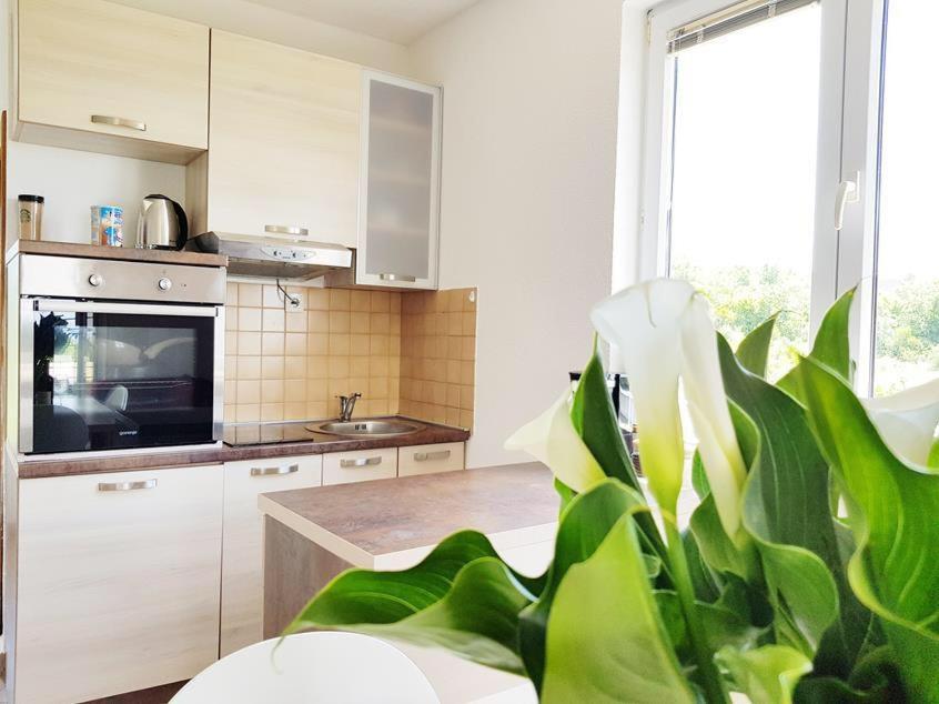 Talija Apartments Krimovica Будва Экстерьер фото